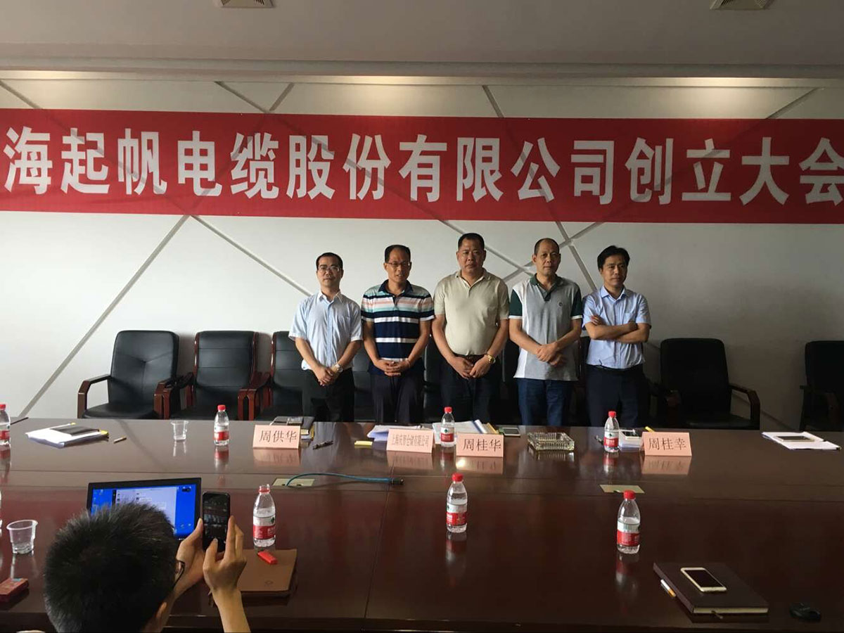 上海韦德网站官方入口电缆股份有限公司第一次股东大会